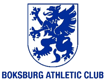 Logo 1